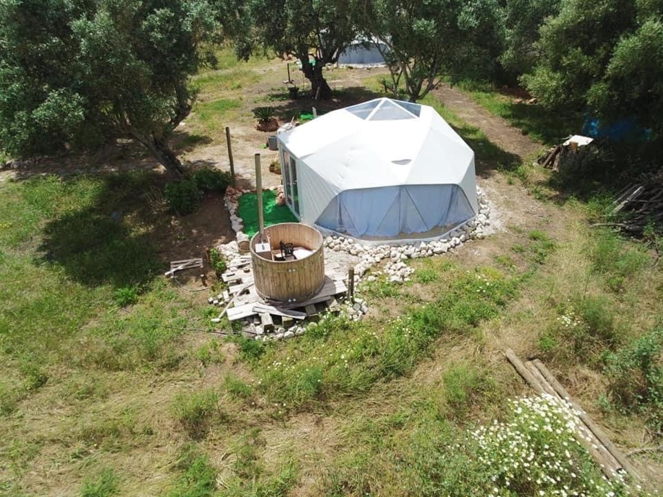 Forest Domes Setúbal Eksteriør billede