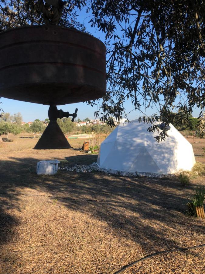 Forest Domes Setúbal Eksteriør billede
